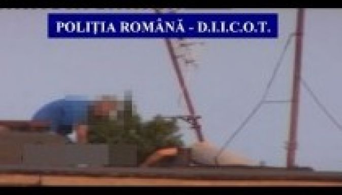 Kannabisz termett egy szatmárnémeti tömbháztetőn (VIDEÓ)