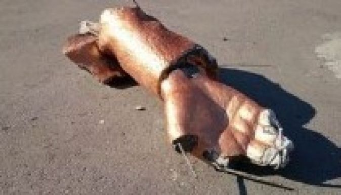 Újabb két Lenin-szobrot döntöttek le Harkivban (VIDEÓ)