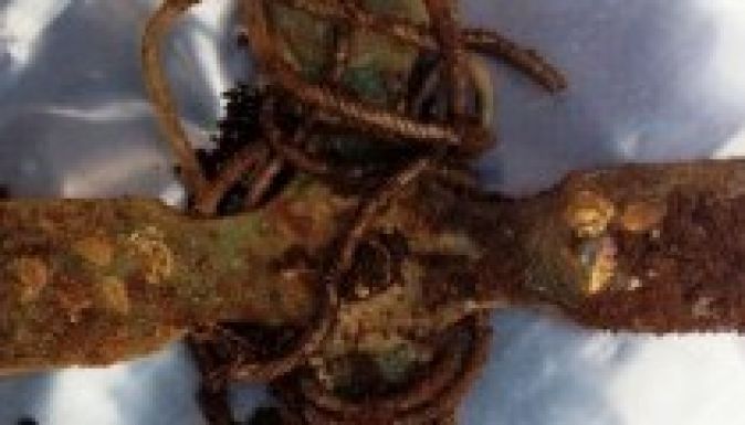 Értékes viking leletre bukkant egy amatőr kincskereső Skóciában