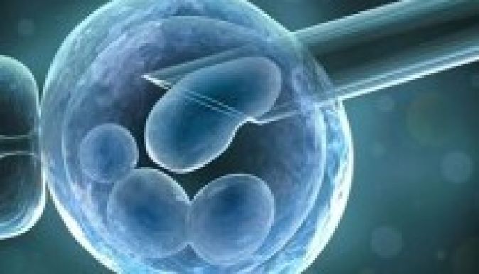 Illegális petesejt-kereskedelemért 3 évet rótt ki a román bíróság