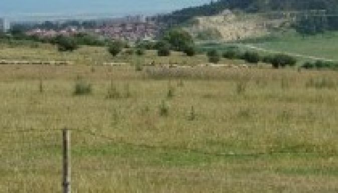 Félti a lőteret a magyaroktól a székelyföldi románok fóruma