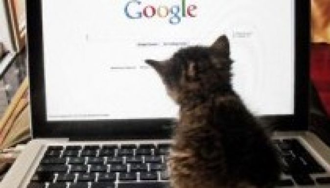 Kereken negyvenöt éves az internet