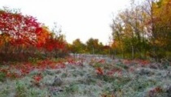 Ilyen időnk lesz az államfőválasztás napján