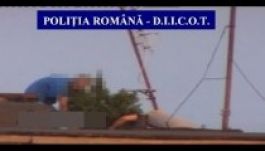 Kannabisz termett egy szatmárnémeti tömbháztetőn (VIDEÓ)