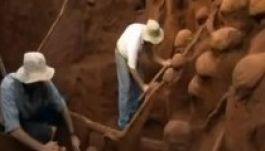 A hangyaboly belső szerkezetére derült fény (VIDEÓ)