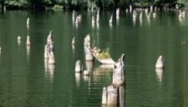 Engedélyezhetik a horgászást a Gyilkos-tón