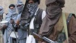 A pakisztáni tálibok támogatják az Iszlám Államot