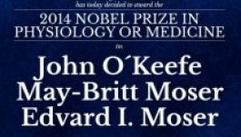 Agykutatásért hárman kapták megosztva az orvosi Nobel-díjat