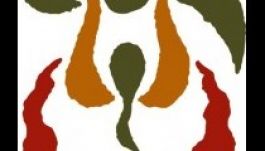 Erdélyi magyar hivatásos táncegyüttesek találkoznak Csíkban