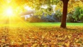 Borúra derű jön Erdélyben a következő két hétben