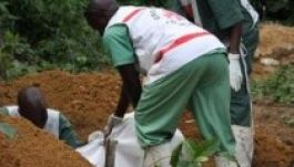 Ebola: lassan eléri a négyezret a halottak száma