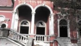 Összegyűltek az aláírások a marosvásárhelyi Bürger-ház megőrzéséért