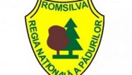Továbbra is a ROMSILVA kezeli a nemzeti parkokat