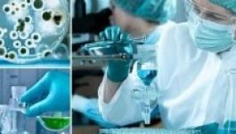 Fél éven belül előállítják az ebola oltóanyagát Oroszországban