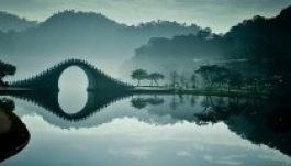 Kolozs megyében van a világ egyik legszebb erdeje