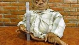 A világ legkisebb embere csupán 40 centi magas