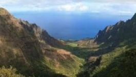 Hawaiin vásárol telket a Facebook-vezér