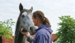 Válj lóvá, Lutz Leventével