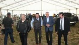 Borbély: büszkék lehetünk helyi termékeinkre