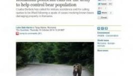 A brit The Guardian is foglalkozik a székelyföldi medvetámadásokkal