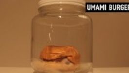 Így néznek ki a gyorséttermi burgerek 30 nappal később (VIDEÓ)