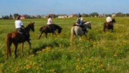 Lóval és LEADER-rel a magyarországi turizmusért
