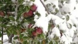 A derűs napok után jön beköszönt a fagy Erdélyben