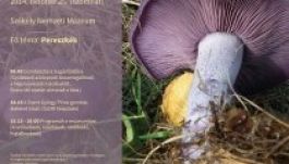 Gombanapot szerveznek a Székely Nemzeti Múzeumban