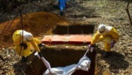 Közelíti az ötezret az ebola áldozatainak száma