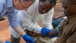 Összefognak az Ebola ellen a gyógyszercégek