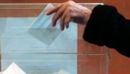 A délvidéki magyarság alig szavazott a nemzeti tanácsi választásokon