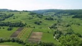 A gazdák decembertől számíthatnak de minimis támogatásra