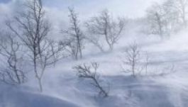 Tudósok szerint cudar telek várhatnak Romániára is