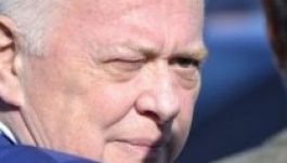 Vizsgálati fogságba került Viorel Hrebenciuc