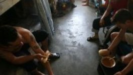 Vajon benned megvan az a két gén, ami növeli az erőszakosság rizikóját?