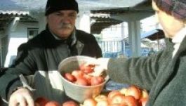 Óriási mennyiségű alma termett idén Szatmár megyében