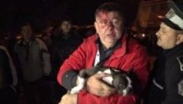 Balesetet okozott a képviselő, majd elbújt a bokorban (VIDEÓ)