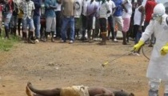 Sok ezer éhező hagyta ott a karantént Sierra Leonéban