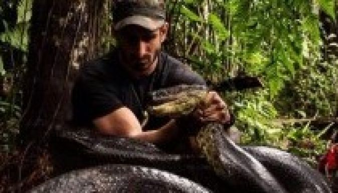 Élő tévéadásban nyelte le egy anakonda a szakértőt
