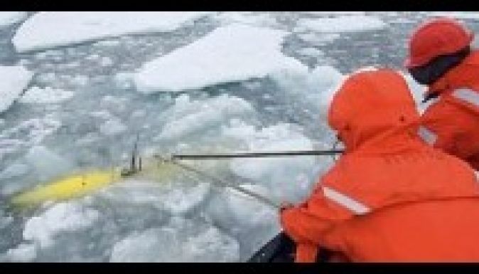 Meglepő felvételeket küldött Antarktisznál víz alá küldött robot