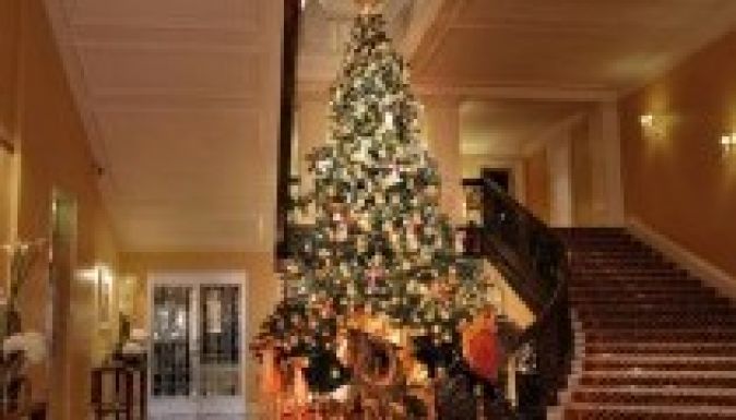 Bemutatták a Dolce & Gabbana karácsonyfáját (VIDEÓ)