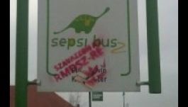 Az EMNP elhatárolódott a sepsiszentgyörgyi „festőakciótól”