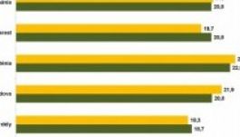 Becslés: elmarad a magyar részvétel az országostól