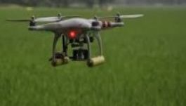 Korlátozták a hatóságok Amerikában a média tevékenységét