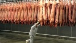 Berlin kész a végsőkig elmenni külföldi munkavállalóiért