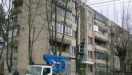 Zöld chartával az esztelen marosvásárhelyi fakivágások ellen