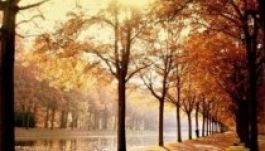 Gyönyörű idő lesz november első felében Erdélyben