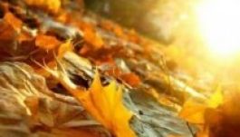 Kimondottan meleg az ősz Erdélyben