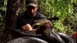 Élő tévéadásban nyelte le egy anakonda a szakértőt