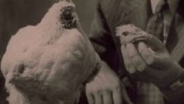 Klaus Johannis: halállal fenyegettek meg